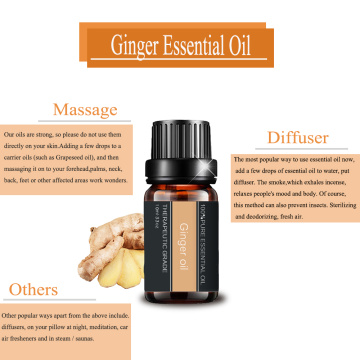 Ginger Essential Oil For Massage Losing Weight FatBurning