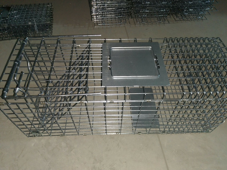 Animial Cage Trap