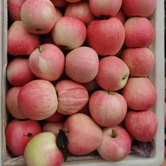 Buy Fresh Gala Apples Bulk or Export Directly From The Farm