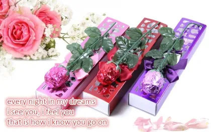 18g chocolate/chocolate candy/Hollow Rose Chocolate/chocolate prices