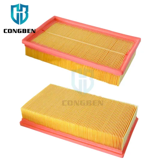 China Manufacturer Air Filters for Audi 80 B4 (859129620, 191129620, 131129620)