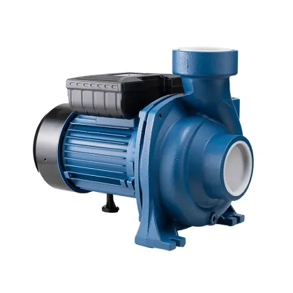 Bomba De Agua: 3 Inch Electric Water Pump for Irrigation