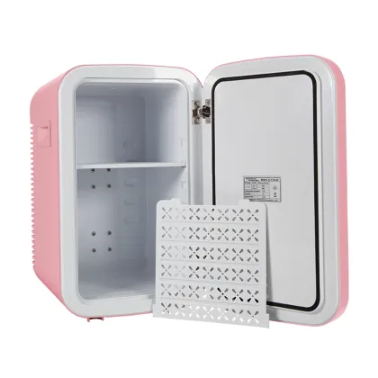 12V Custom Cosmetic Skincare Refrigerator - Beauty Mini Makeup Refrigerator for Home