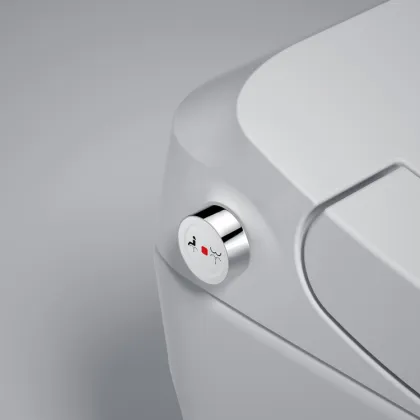 Washing Heating Drying Cheap Smart Toilet