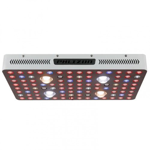 Phlizon 2000W COB LED cresce cor branca clara