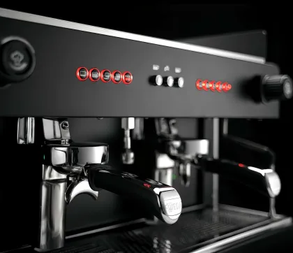 Wega Pegaso Picasso Double Head E61 Italian Semi-automatic Espresso Machine