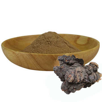 Inonotus obliquus Extrakt Chaga Polysaccharide