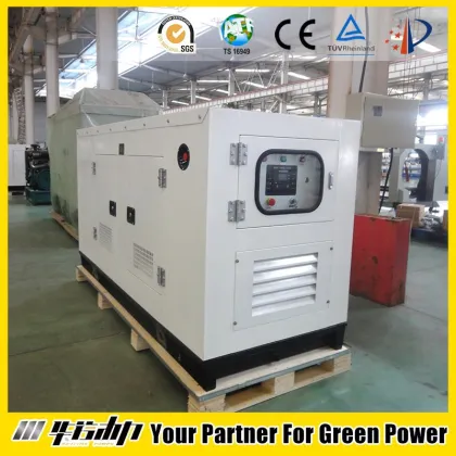 Weather protectiv home generator diesel