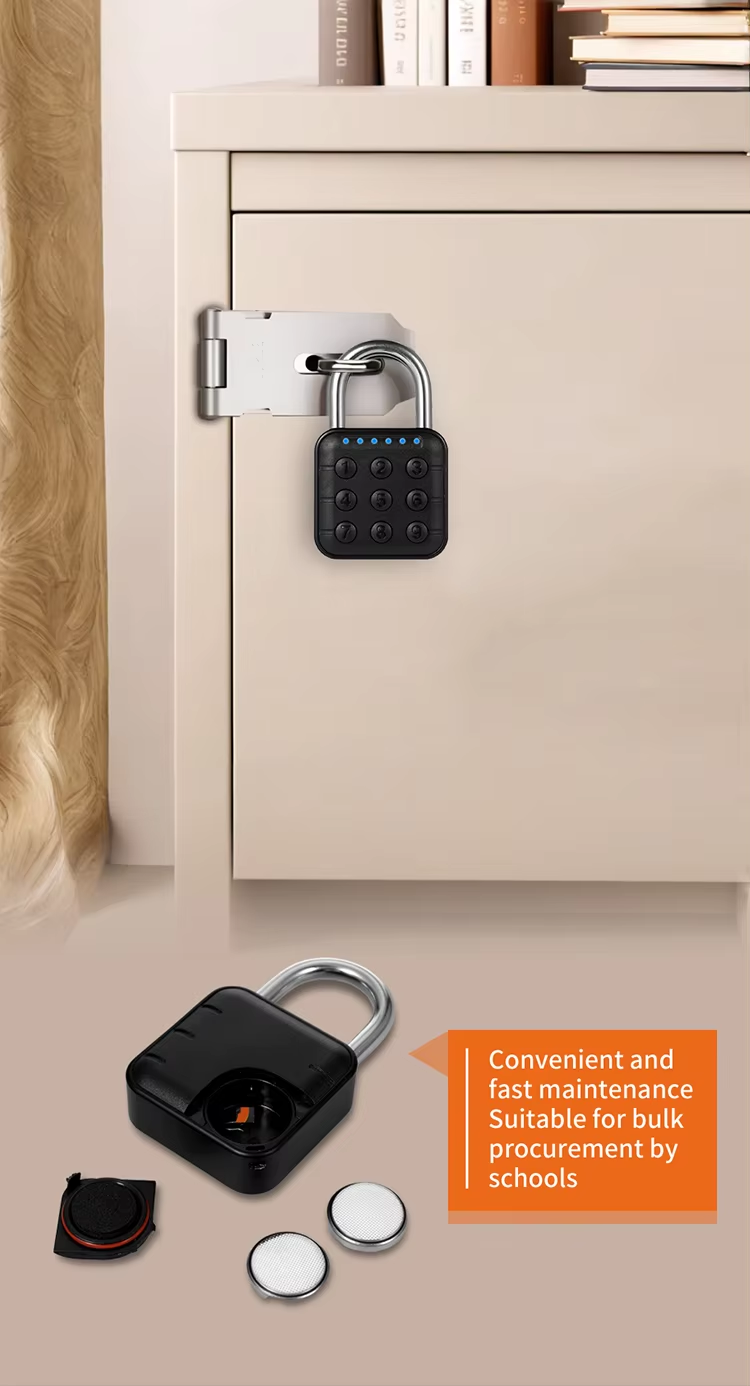 4 Battery-powered padlock
