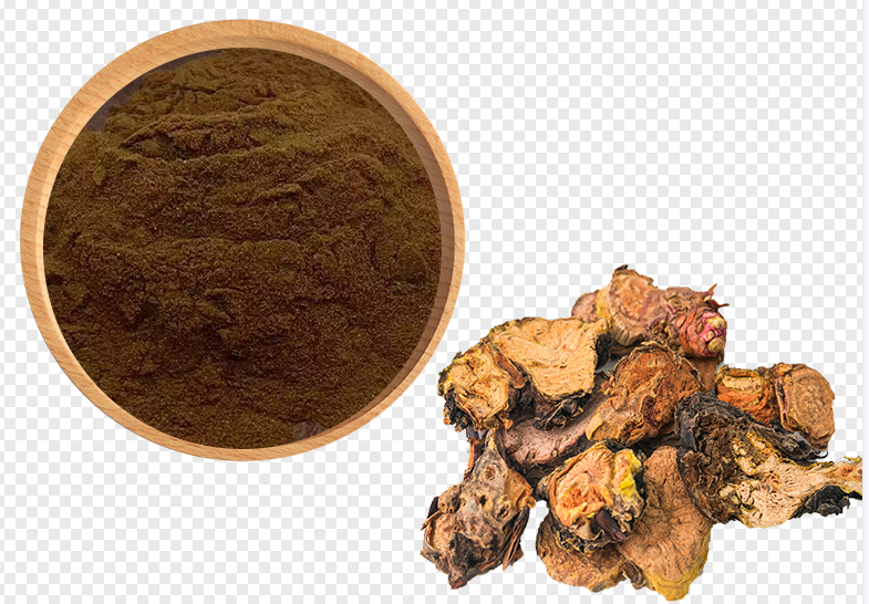 Rhodiola rosesa extract