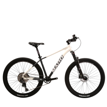 Bicycles en fibre de carbone: cycles légers et hautes performances pour les passionnés