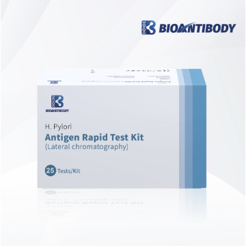 Kit de test rapide de l&#39;antigène H.Pylori de haute qualité