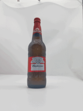 Budweiser 580ml Momen of Senang