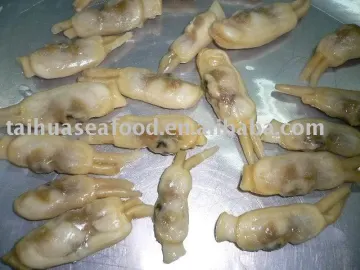 Frozen razor clam for sale