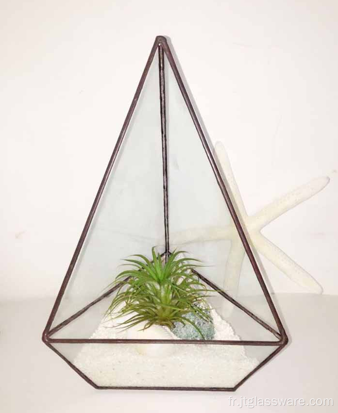 Boîte à fleurs de style terrarium pour plantes en verre carré