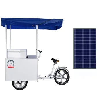 Hot Selling Solar-Powered Frozen Cabin Tricycle - 208 Litres Ice Cream Delivery Refrigerator