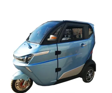 Runhorse L2e Certificate Mobility Eldly Lithium Electric Trike for Europe
