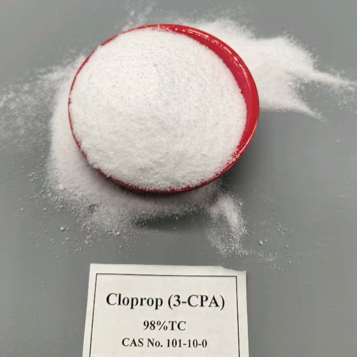 3-CPA Plant growth regulator fruit -set improve flowering (30)