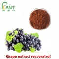 100% natürlicher Traubenhautextrakt Resveratrol