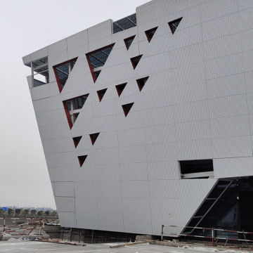Aluminum Decorative Cladding Facade 3D Model