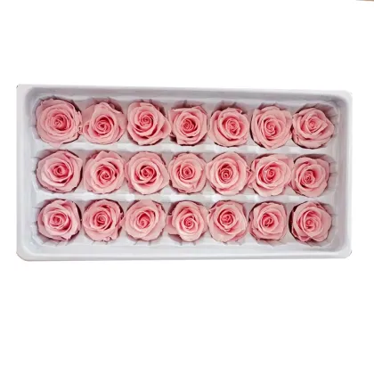 Wholesale Rose Eternelle - Top Seller for Wedding and Home Decoration