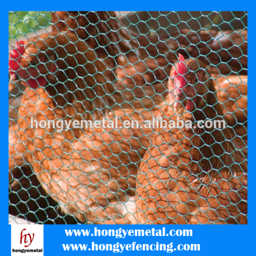 Hot Dipped Galvanized Hexagonal Wire Mesh Chicken Net - China Wire Mesh,  Wire Netting