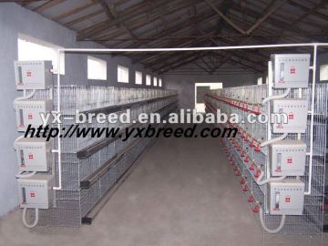 Poultry farm cage for broilers
