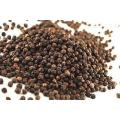 Black Pepper Extract Tetrahydropiperine 98% poeder