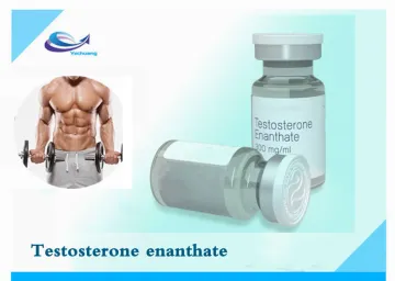 Bodybuilding Steroid Powder Testosterone Enanthate 315-37-7