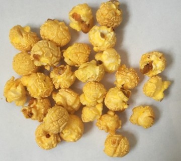Jinan DG: American Mushroom Popcorn Popper Machinery & Hot Air Caramel Coating Machine - Automatic Popcorn Line