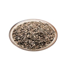 Burdock Root Seeds for Traditional Healing Practices