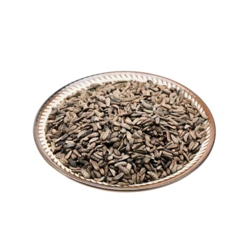 Burdock Root Seeds for Traditional Healing Practices