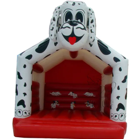 Factory Supply inflatable bouncer slide