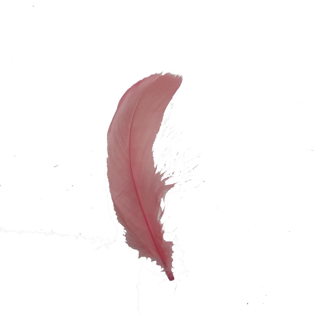 Red Feather