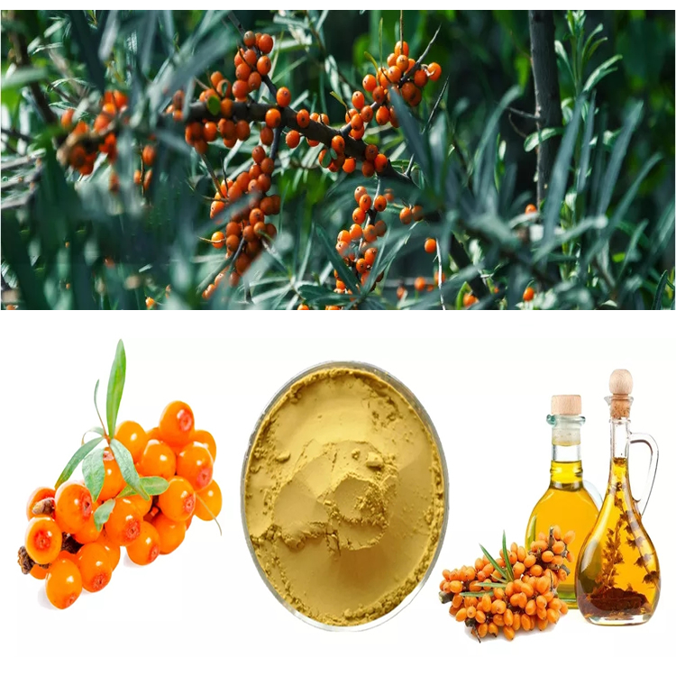 Sea Buckthorn Powder