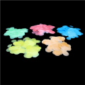 ECO Friendly Edible Confetti Flower Shape