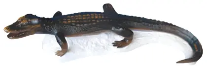 Simulated Yangtze alligator