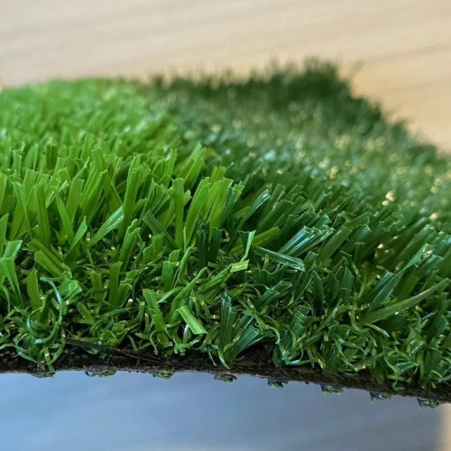 25mm Artificial Grass Carpet Roll for Garden