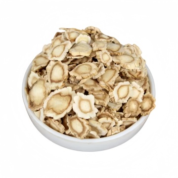 Balloonflower Root for Cough and Asthma Relief