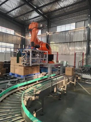 Fully Automatic ABB Robot Palletizer for Carton Boxes