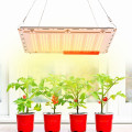 /msite/products/detail/productid/58196434/id/679434.html