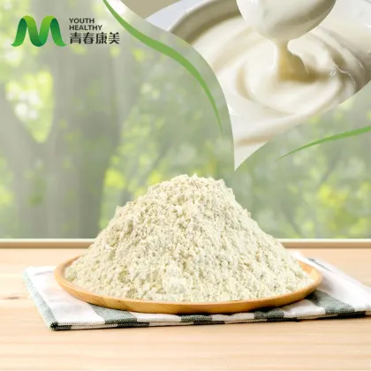 Instant Yogurt Powder Health