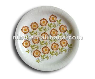 YLPP120-053 fancy paper plates,rectangular paper plate