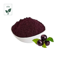 Bilberry extract for Improving Vision Extract