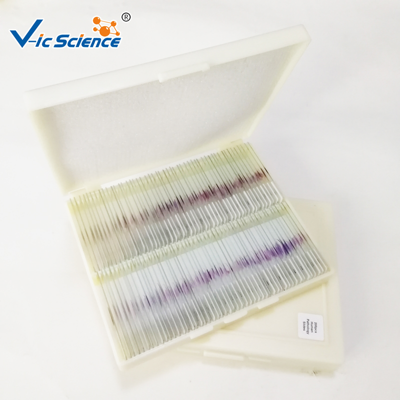 Hospital Pathological Slides Hospital Pathological Slides