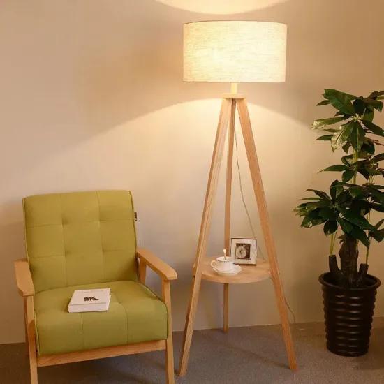 Nordic Designer LED Floor Lamp