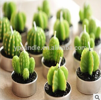 Creative lovely cactus plants Potted candles Personality candle home furnishing articles