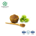Pure Natural Tribulus Terrestris Extract Saponins