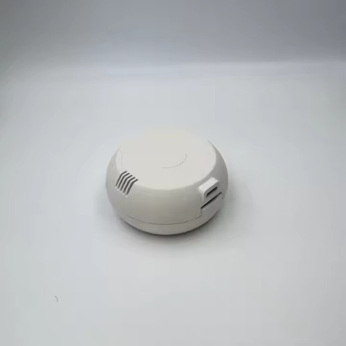 Plastic Small Sterilizer Box Parts Injection Mold