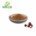 Mangosteen extract powder 10:1